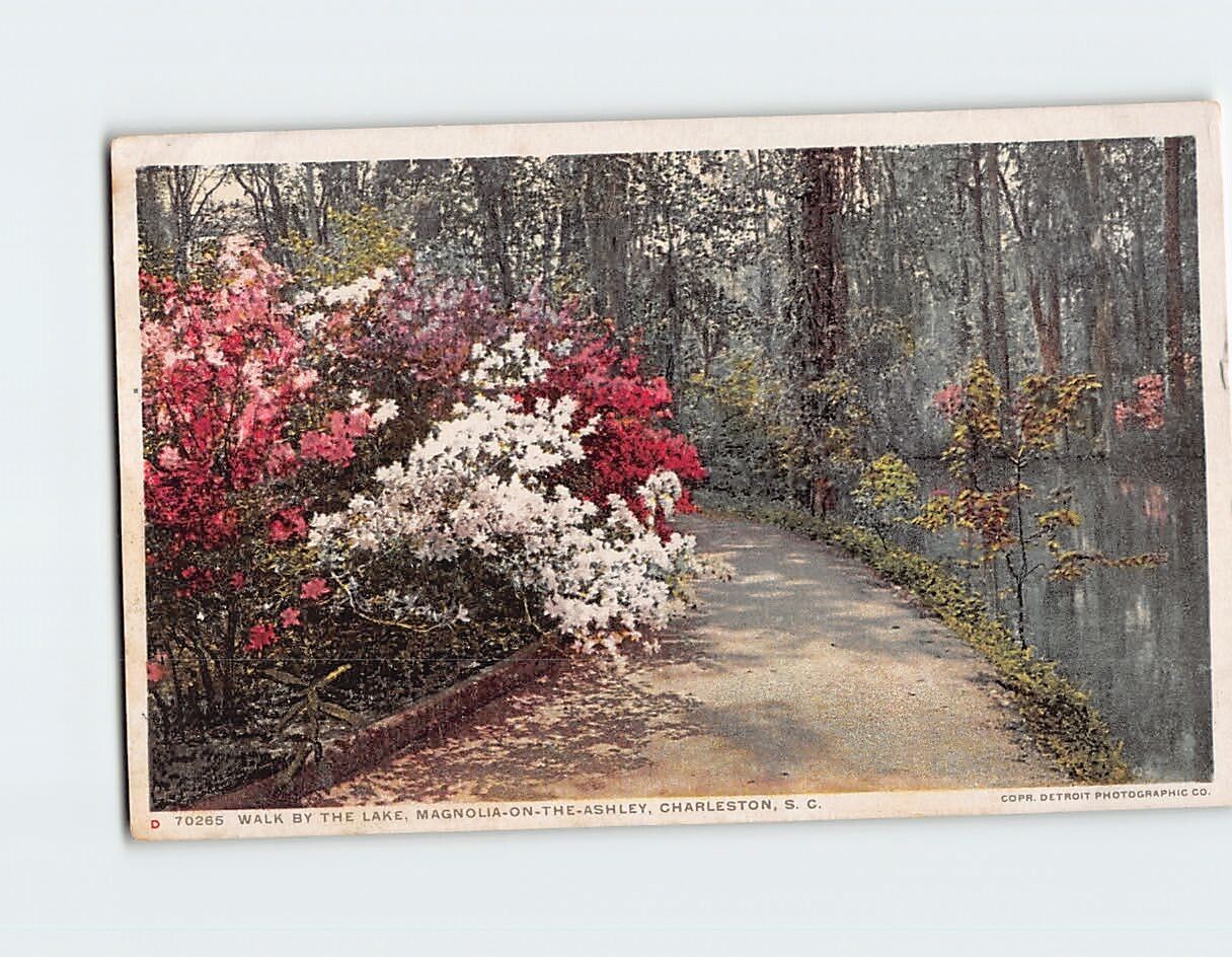 Postcard Walk by the Lake Magnolia-on-the-Ashley Charleston South Carolina USA