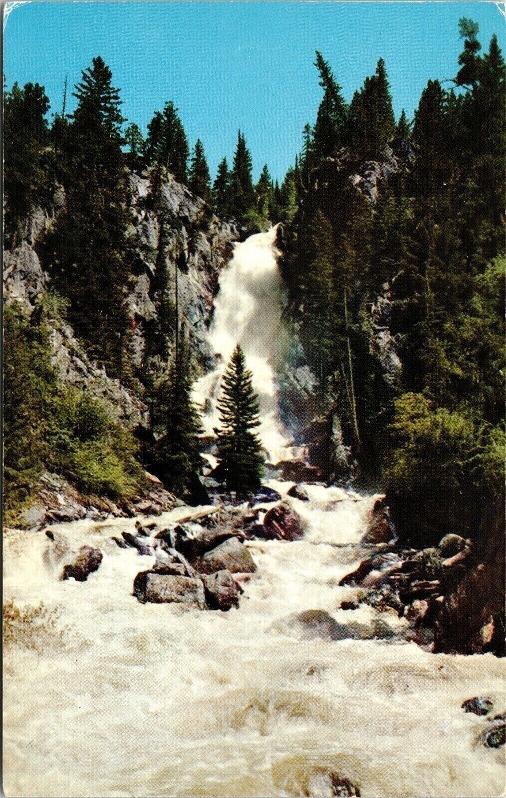 Fish Creek Falls Routt National Forest Steamboat Springs CO Chrome Postcard
