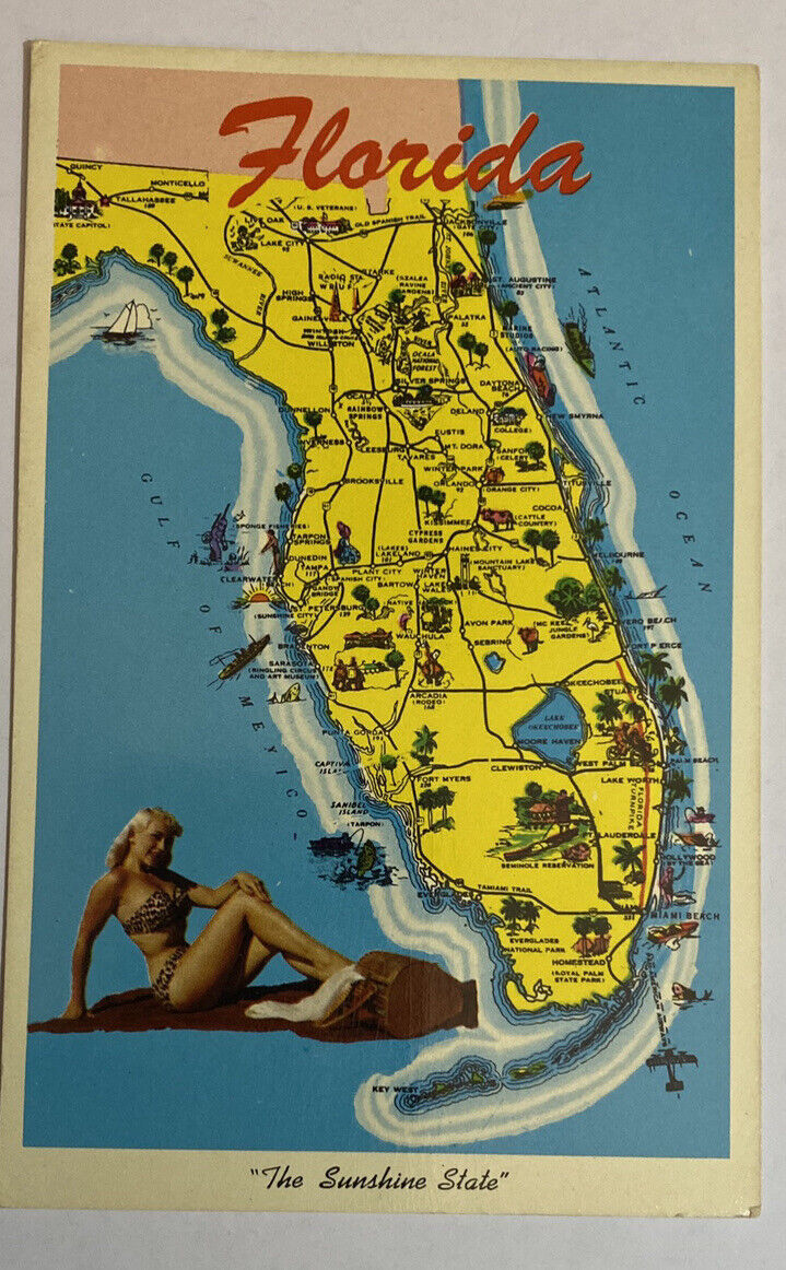 The Sunshine State Map of Florida FL Map Shape Blonde Bikini Girl on Beach 