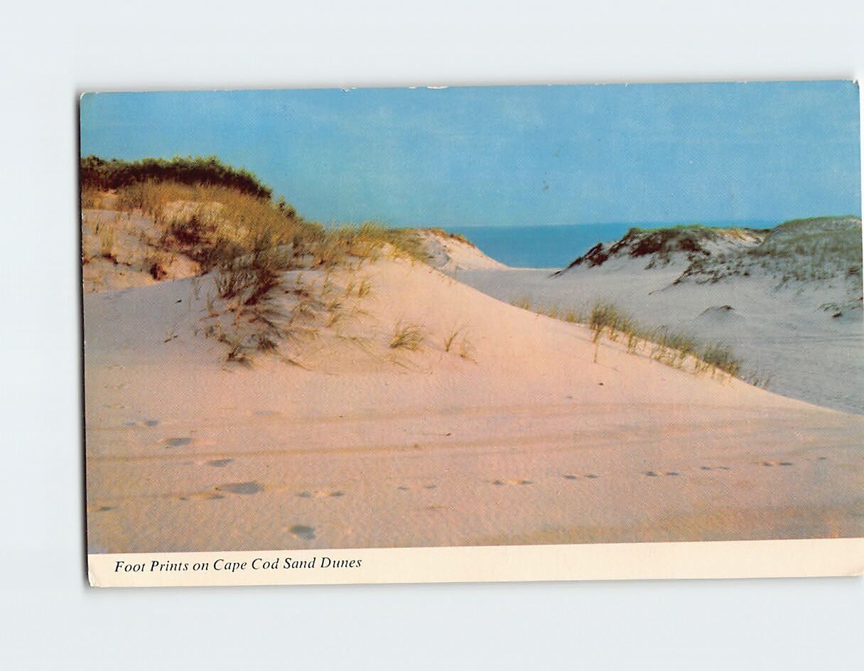 Postcard Foot Prints on Cape Cod Sand Dunes Massachusetts USA