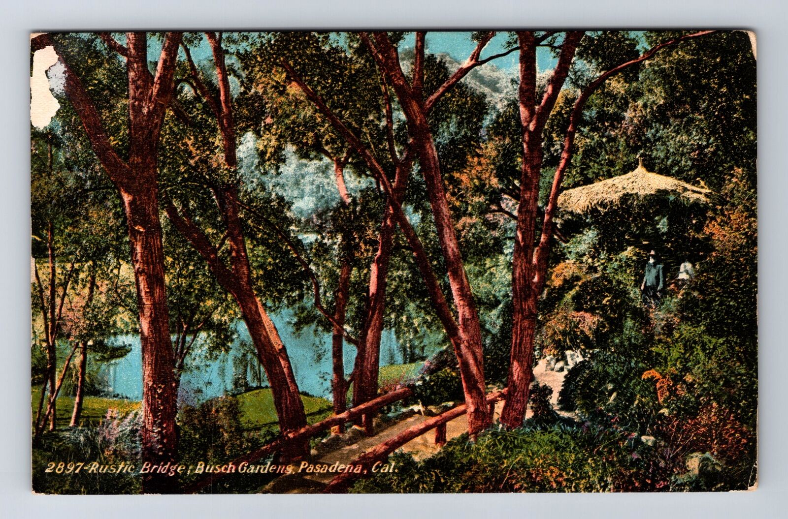 Pasadena CA-California, Rustic Bridge, Busch Garden, Souvenir Vintage Postcard