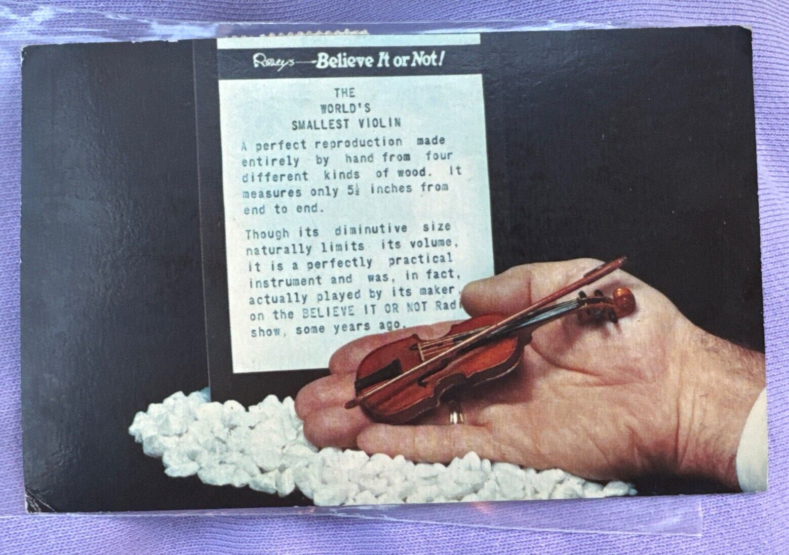 Vintage 1968 Postcard-RIPLEYS BELIEVE IT OR NOT- Smallest Violin San Francisco
