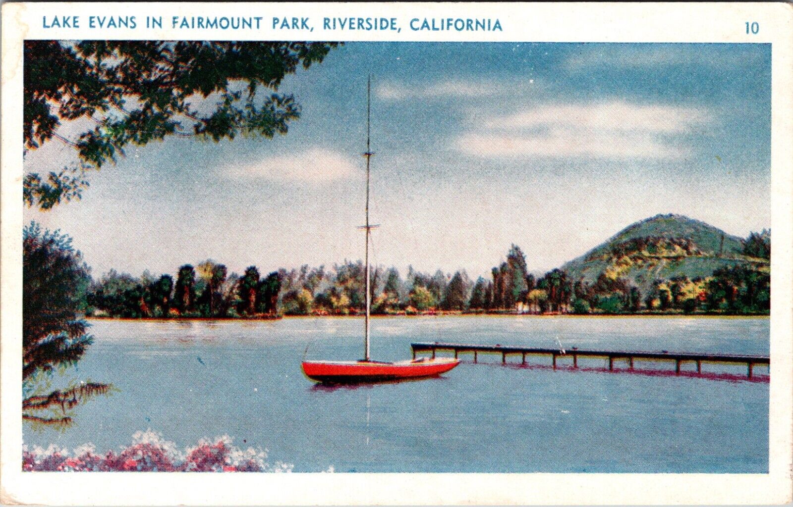 Riverside, CA Lake Evans In Fairmount Park White Border Postcard G809