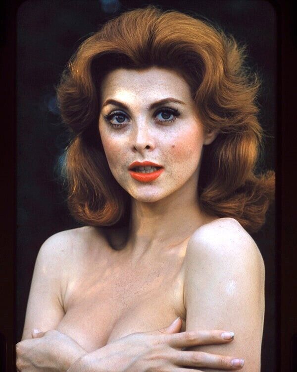 Tina Louise Breathtaking Risque Busty Glamour Pin Up 8x10 Vivid Color Photo