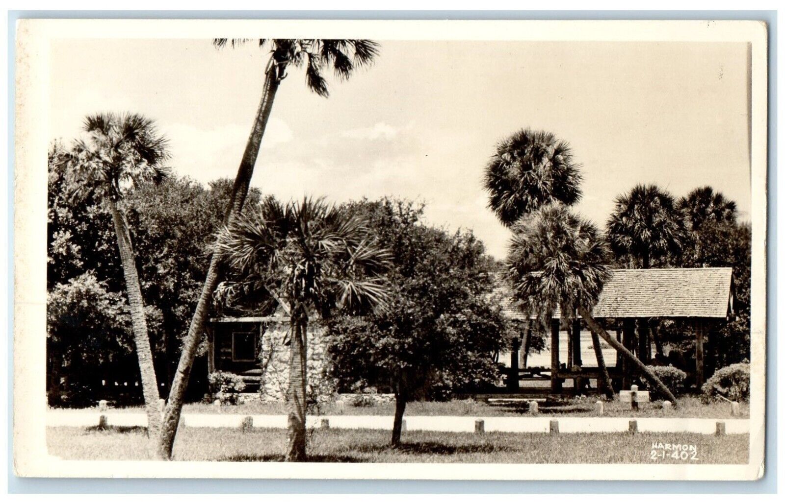 Picnic Pavillion Among Palms And Oaks Sarasota Florida FL RPPC Photo Postcard