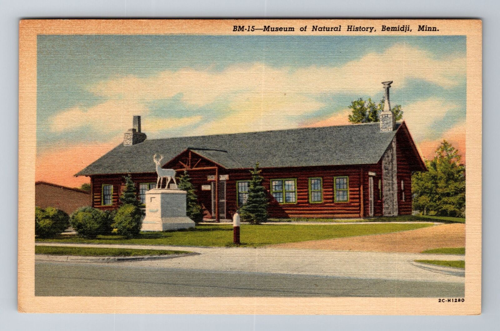Bemidji MN-Minnesota, Museum of Natural History, Antique Vintage Postcard