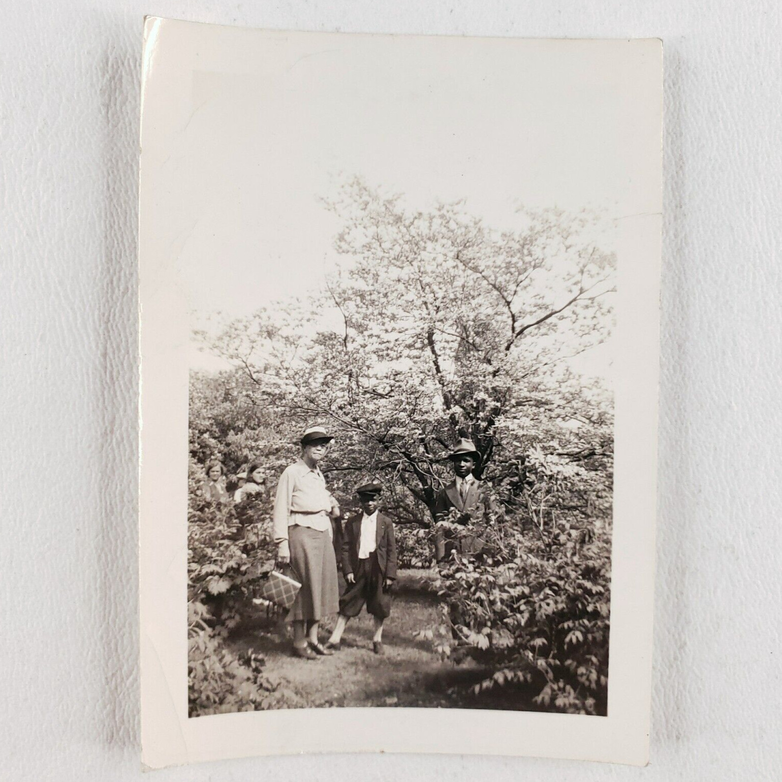 Black Family Hiking Park Photo 1920s African American Vintage Antique Tree A1295
