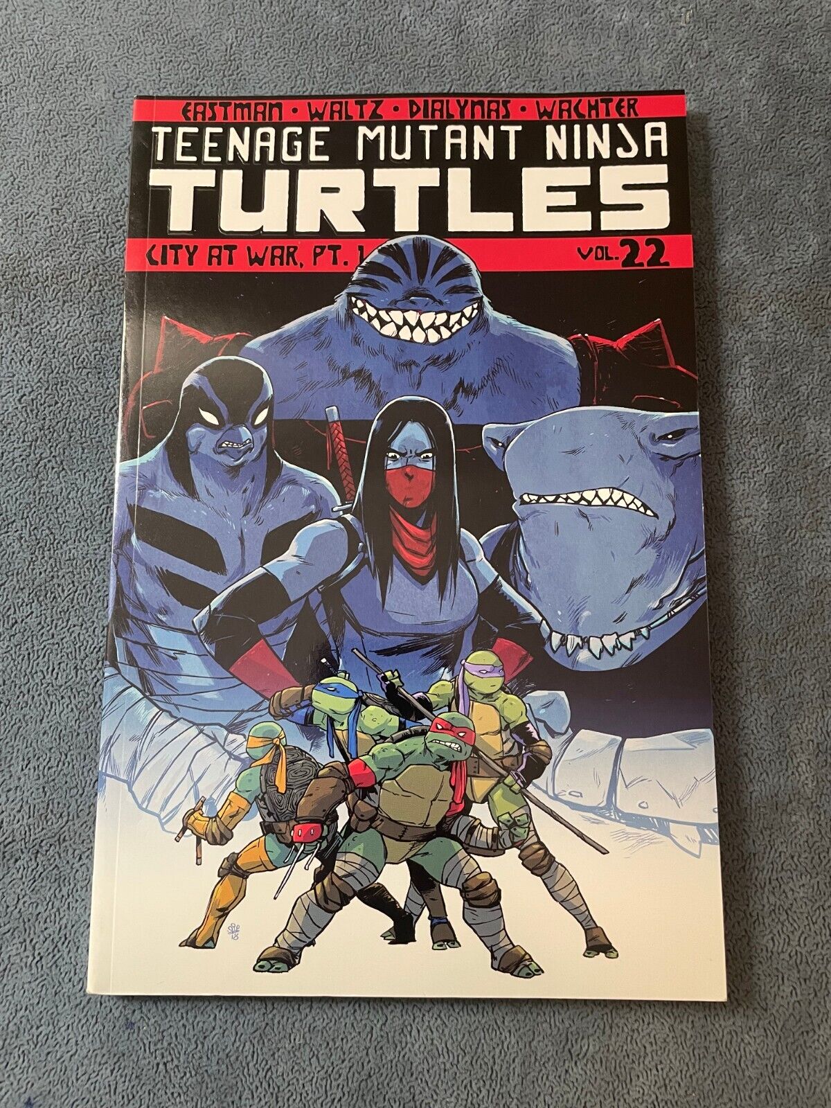Teenage Mutant Ninja Turtles #22 City At War TMNT TPB 2019 Softcover IDW VF/NM