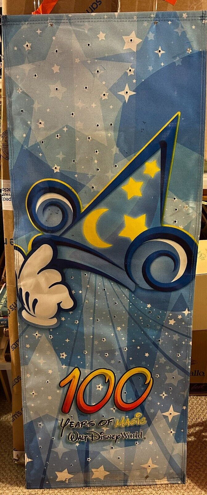 Walt Disney World Park Vinyl Lamppost Banner Prop 100 Years Of Magic ~ 17.5 x 48