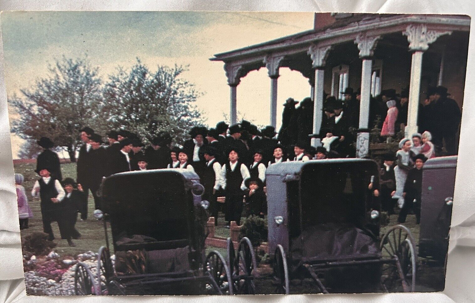 Vintage Amish postcard worship gathering buggies children