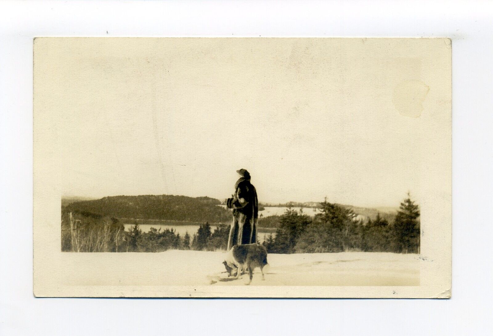 South Brooksville ME 1943 RPPC photo postcard woman with Collie or Sheltie, snow