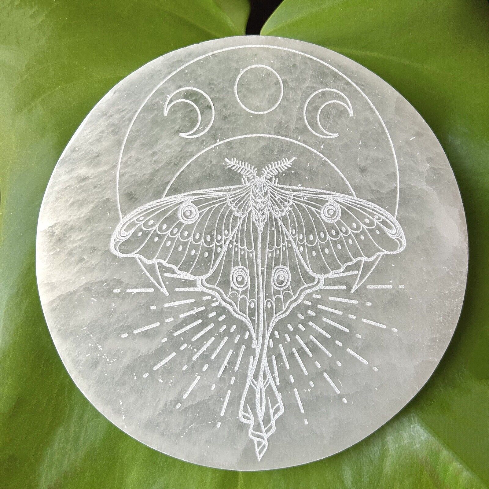 NEW Fractalista PURE SELENITE “LUNA MOTH” ROUND 5.5” Charging/Cleansing Disc