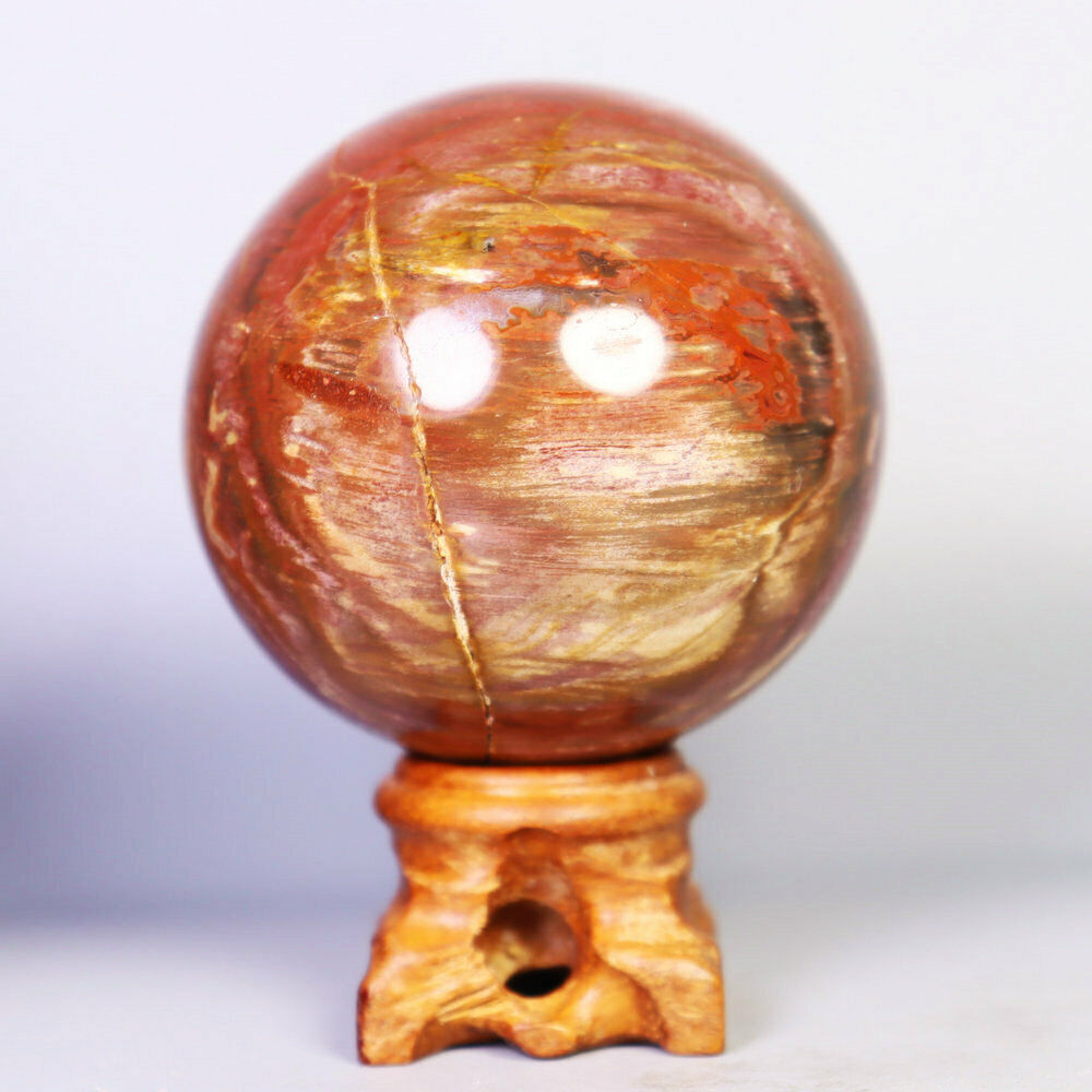 289g Natural Petrified Wood Polished Crystal Sphere Ball Specimen Madagascar