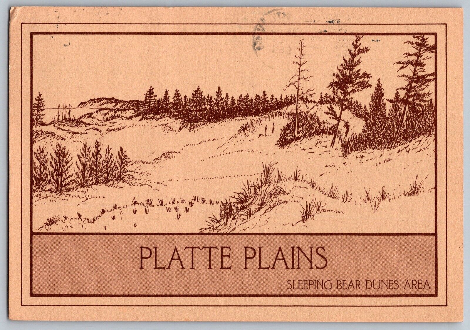 Michigan MI - Platte Plains - View of Empire Bluff - Vintage Postcard 4x6