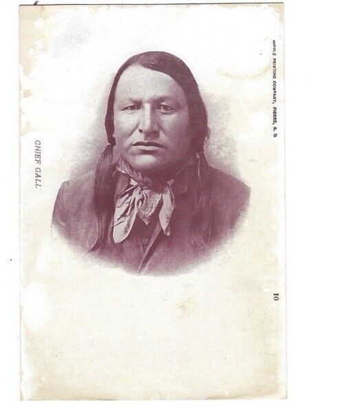 c1905 Chief Gall Hunkpapa Lakota Battle Little Bighorn Undivided Postcard