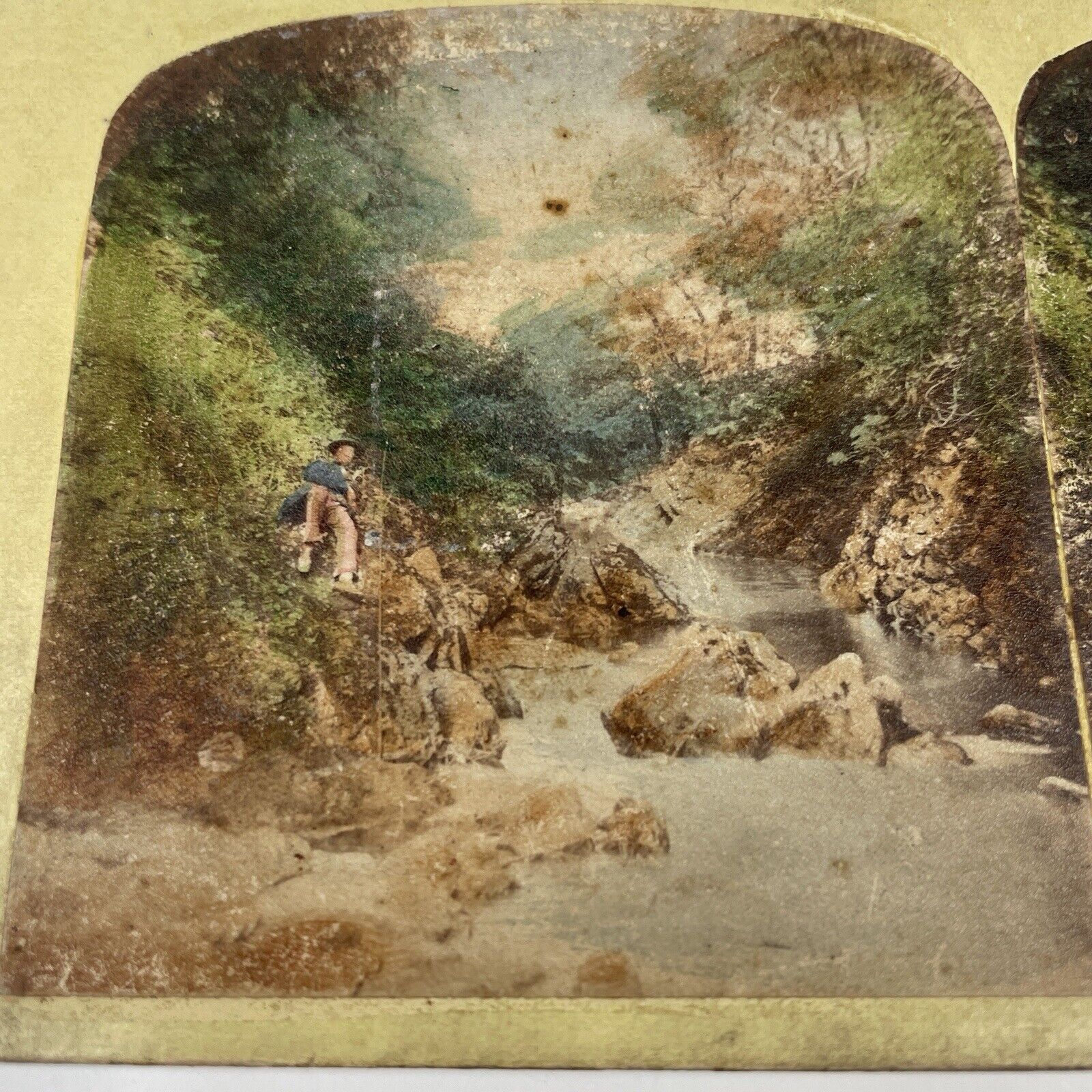Antique Victorian Stereoview Card IRELAND View in the Dargle