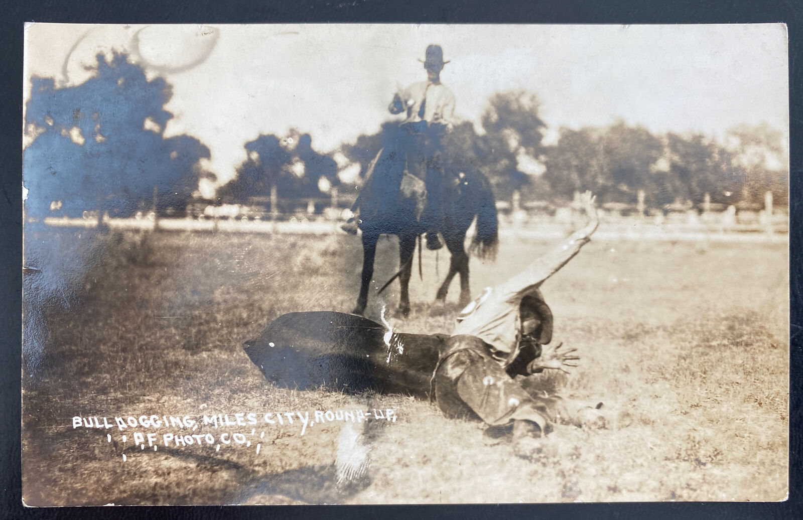 Mint USA Real Picture Postcard Bulldogging Miles City MT Round Up PF Photo