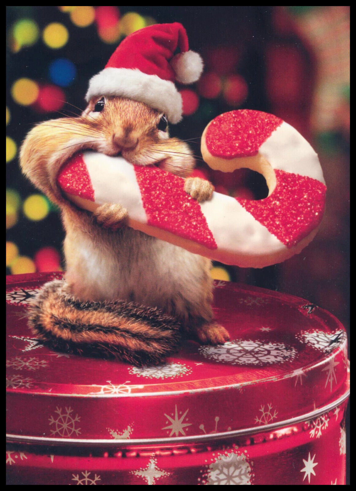 Greeting Card - Chipmunk - Ken Palk - Christmas 0589