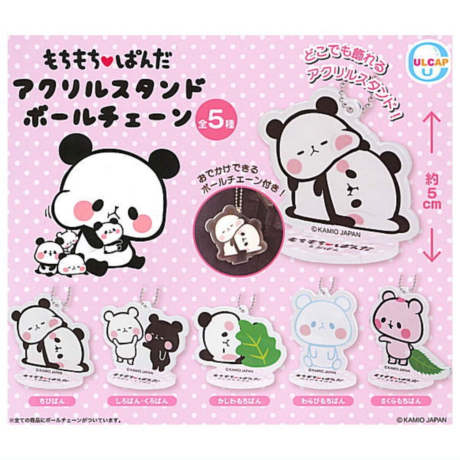 Mochi mochi panda acrylic stand Mascot Capsule Toy 5 Types Full Comp Set Gacha