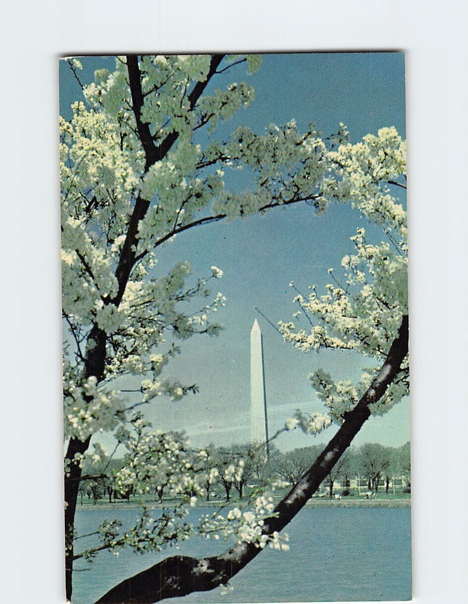 Postcard The Washington Monument Washington DC USA