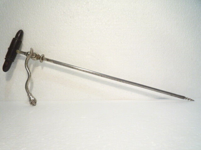 ANTIQUE SURGICAL / MEDICAL  INSTRUMENT WITH ANIMAL HEAD BODY FLUIDS 19thCENTURY