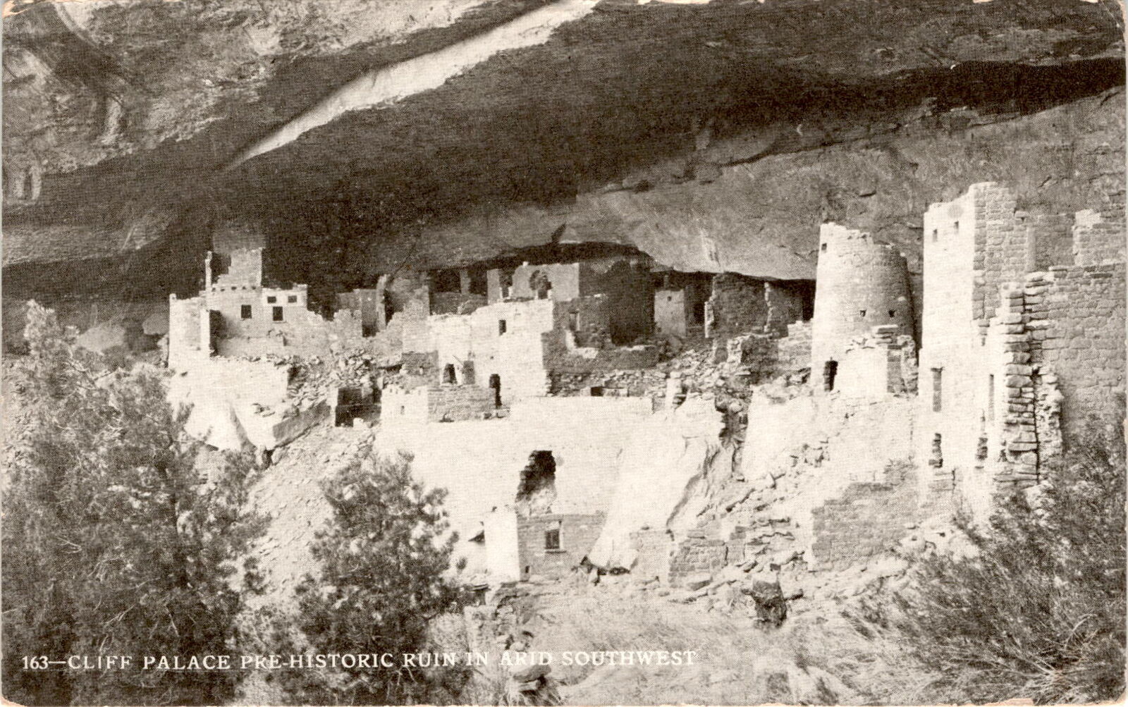 Cliff Palace, pre-historic ruin, Southwest, Arizona, Mesa Verde Postcard