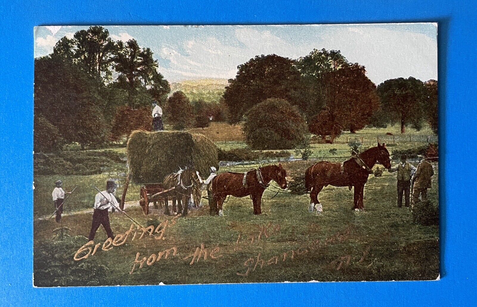 Shandelee Lake New York Greetings 1911 Vintage Postcard horse farm hay