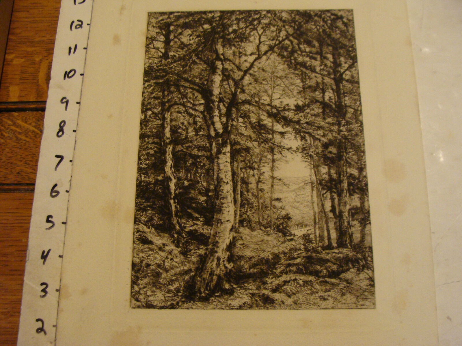 vintage Print:C. P. Slocombe--steel engraving of IN SUMMER WOODS