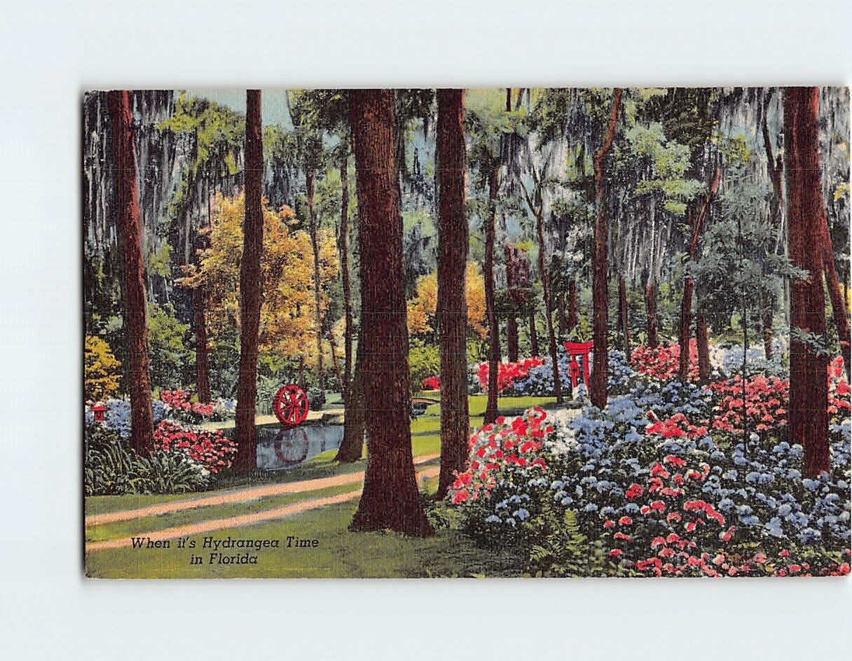 Postcard Oriental Gardens Jacksonville Florida USA North America