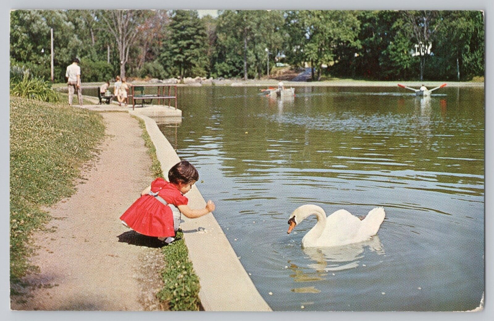 Louise and th Swan North Lake Park Mansfield Ohio Postcard 1960s View Chrome