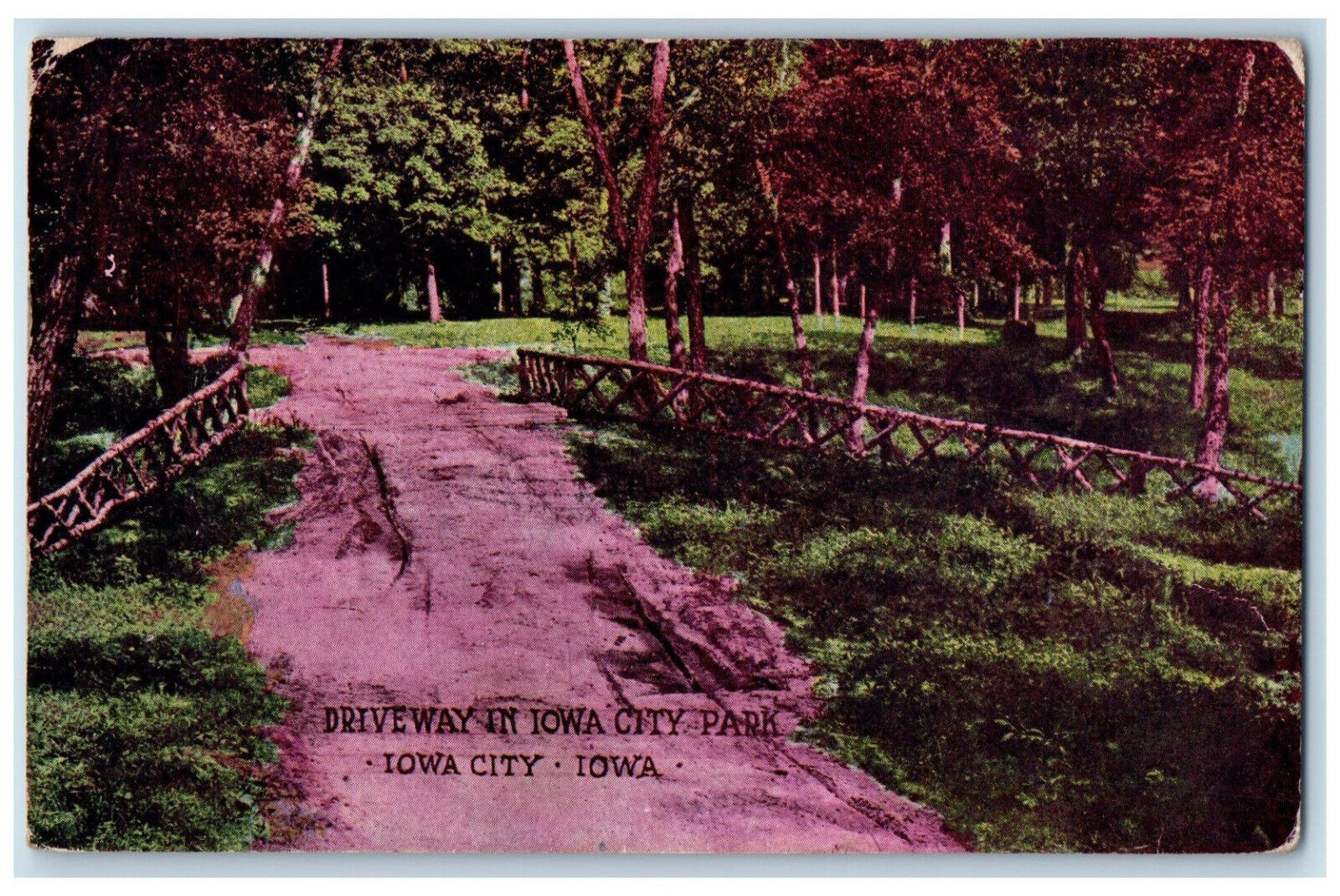 1907 Driveway In Iowa City Park Trees Dirt Road Scene Iowa IA Antique Postcard