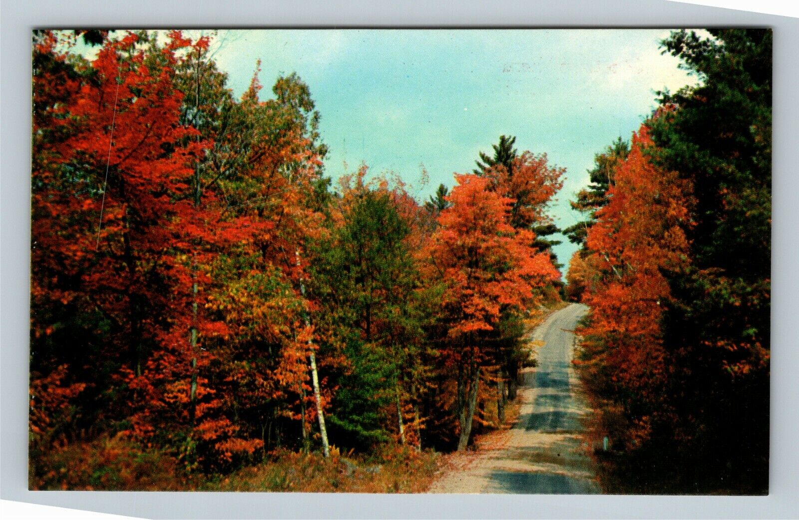 Kaleva MI, Greetings, Colorful Scenic Autumn Roadway Vintage Michigan Postcard  