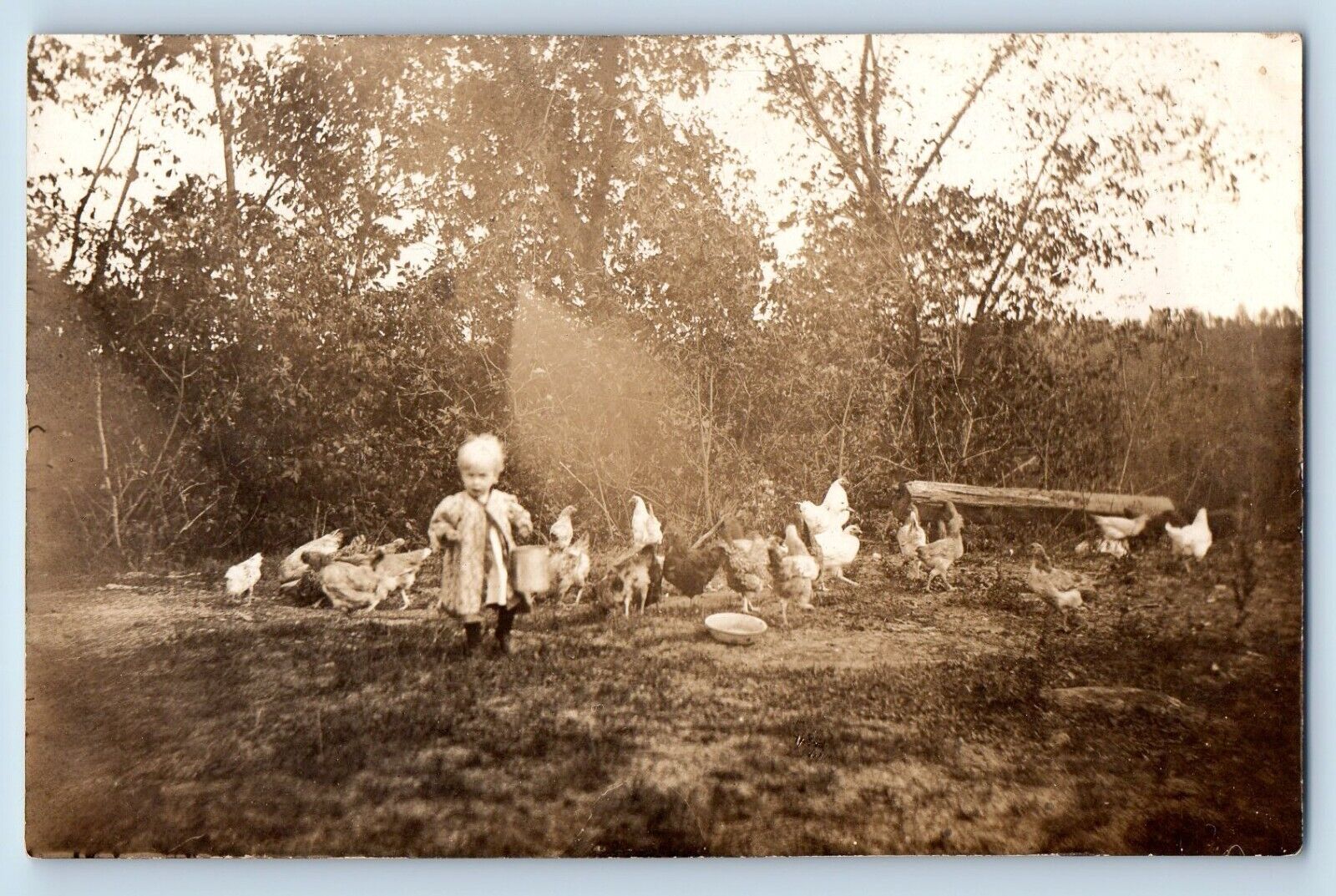 Little Girl Postcard RPPC Photo Feeding Chickens Hen On Field c1910\'s Antique