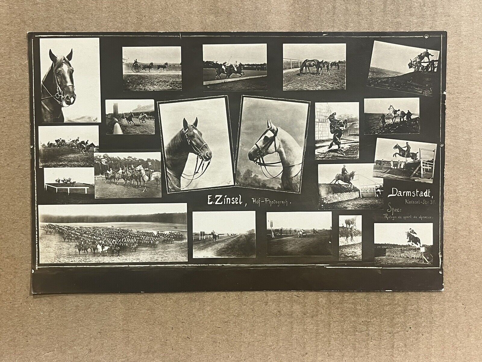 Postcard RPPC Darmstadt Germany Equestrian Sports Horse Racing Vintage Photo