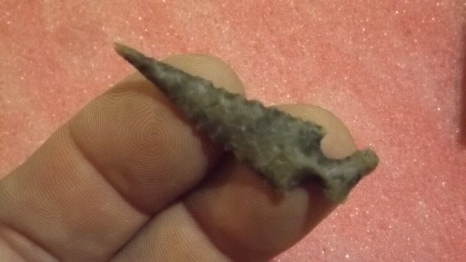 Texas Edwards Bird Point Arrowhead, Ancient Indian Artifact *FREE SHIPPING* RD85