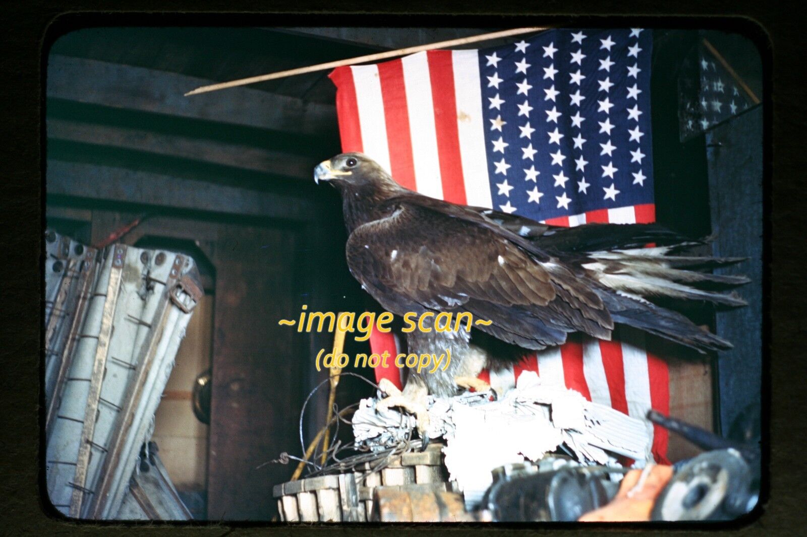 1940\'s American Flag and Golden Eagle, Original Kodachrome Slide b18b