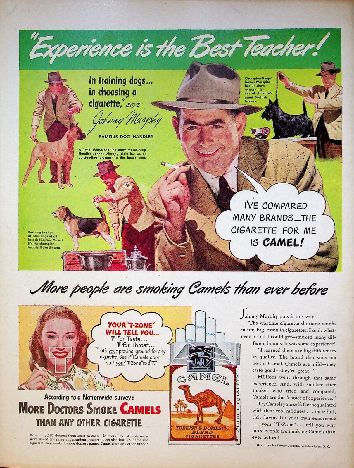1947 Camel Cigarettes Vintage 1940s Print Ad Dog Boxer Beagle Scottish Terriers