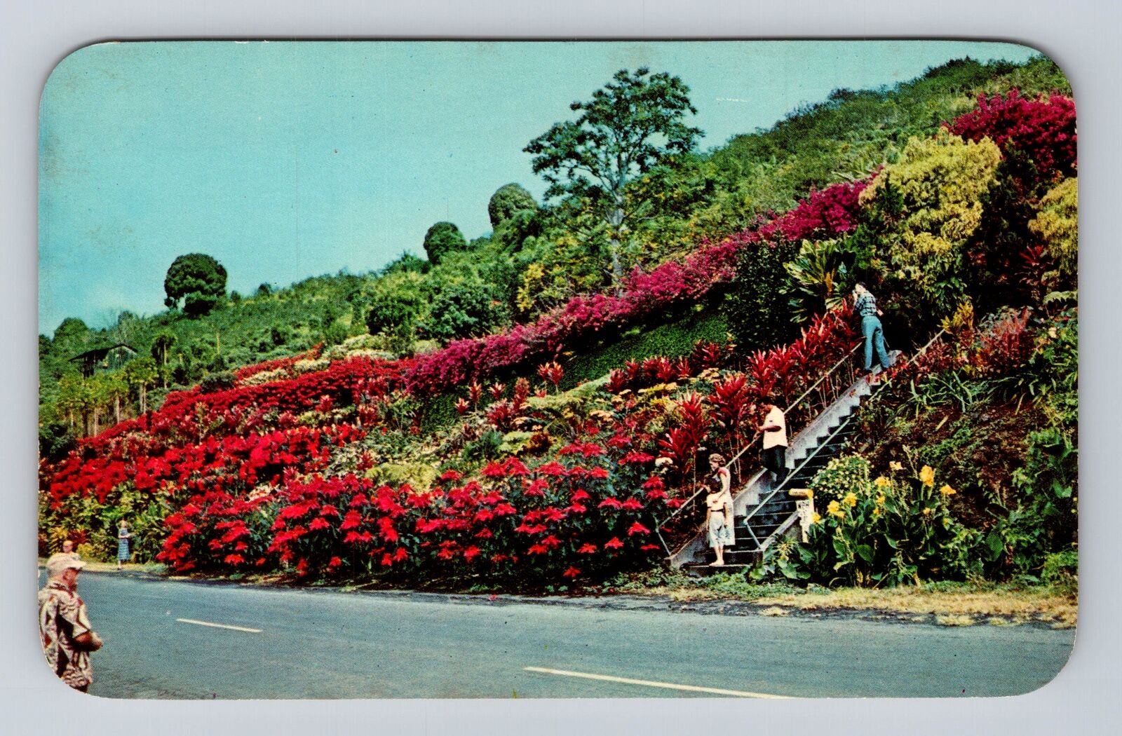 Kealakekua Kona HI-Hawaii, Machado Gardens, Visitors, Vintage Souvenir Postcard