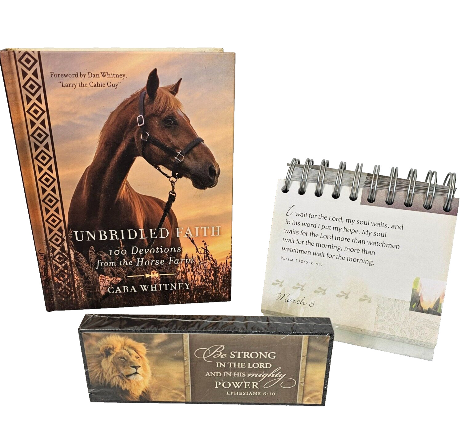 Lot of 3 Unbridled Faith Book Dayspring Flip Calendar Desk Decor Religious Gift
