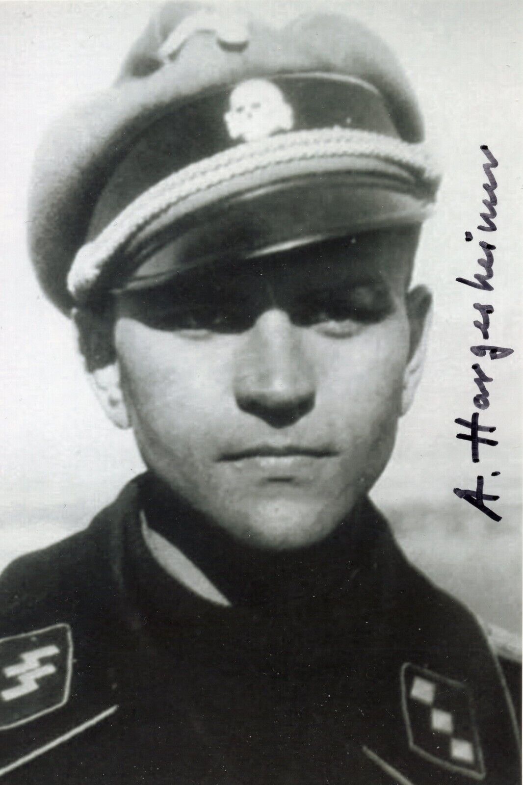 ALFRED HARGESHEIMER - Elite pz. commander - hand-signed photo, rare