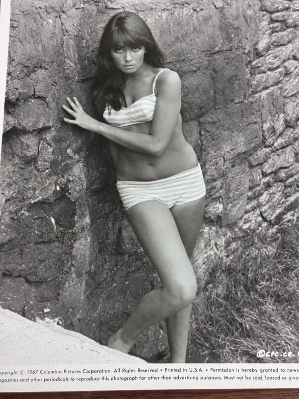 Vintage 1967 Daliah Love Bond Girl 007 Casino Royal Photo