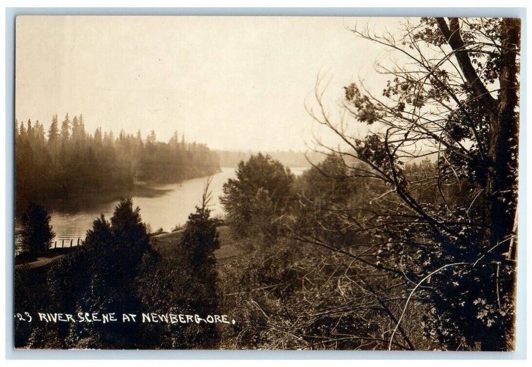 c1910\'s River Forest Scene Patton Newberg OR RPPC Photo Unposted Postcard