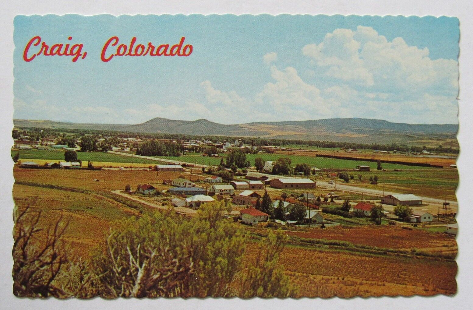Craig Colorado Panorama 1966 Postcard