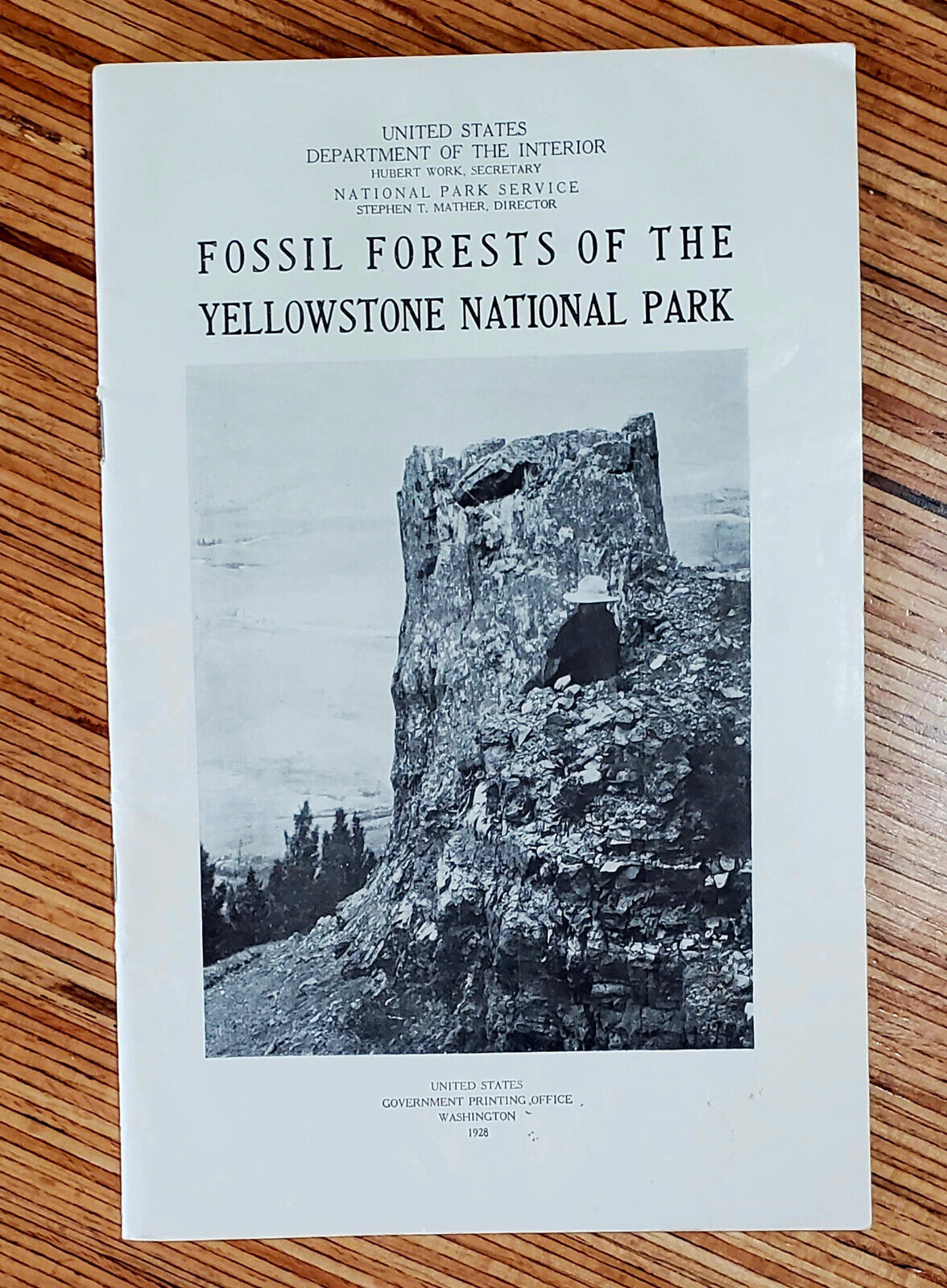 Fossil Forests of the Yellowstone National Park booklet 1928