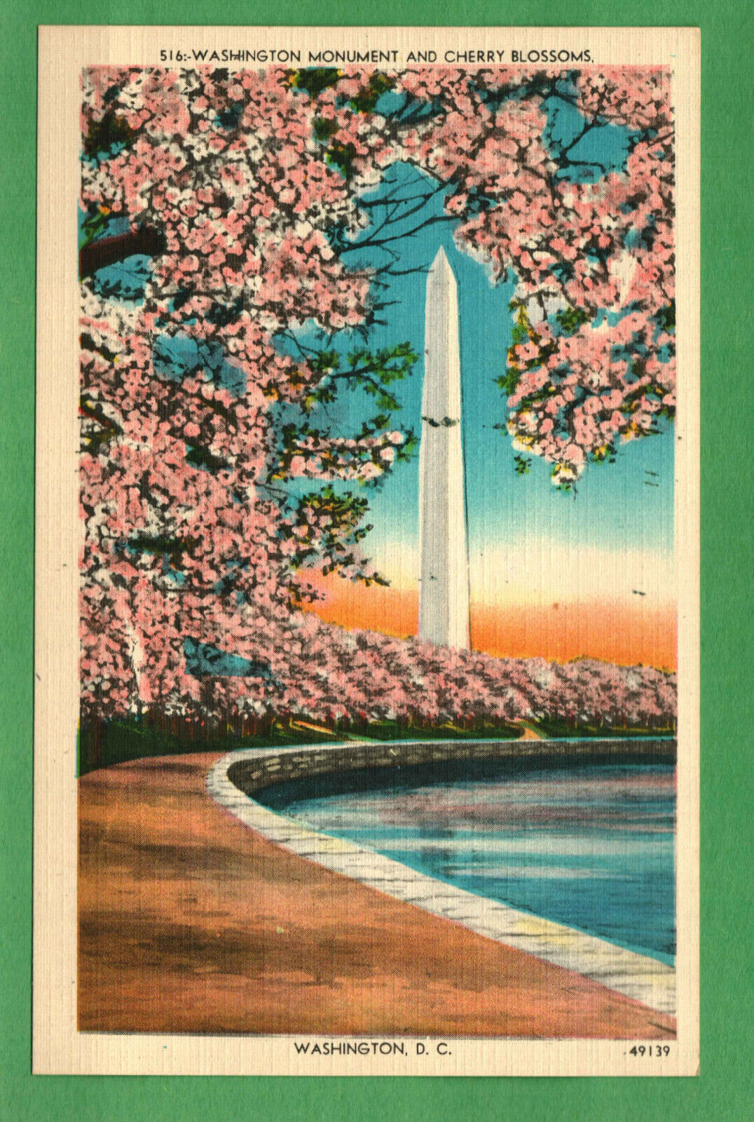 Postcard Washington Monument And Cherry Blossoms Riverside Dr Washington D. C.