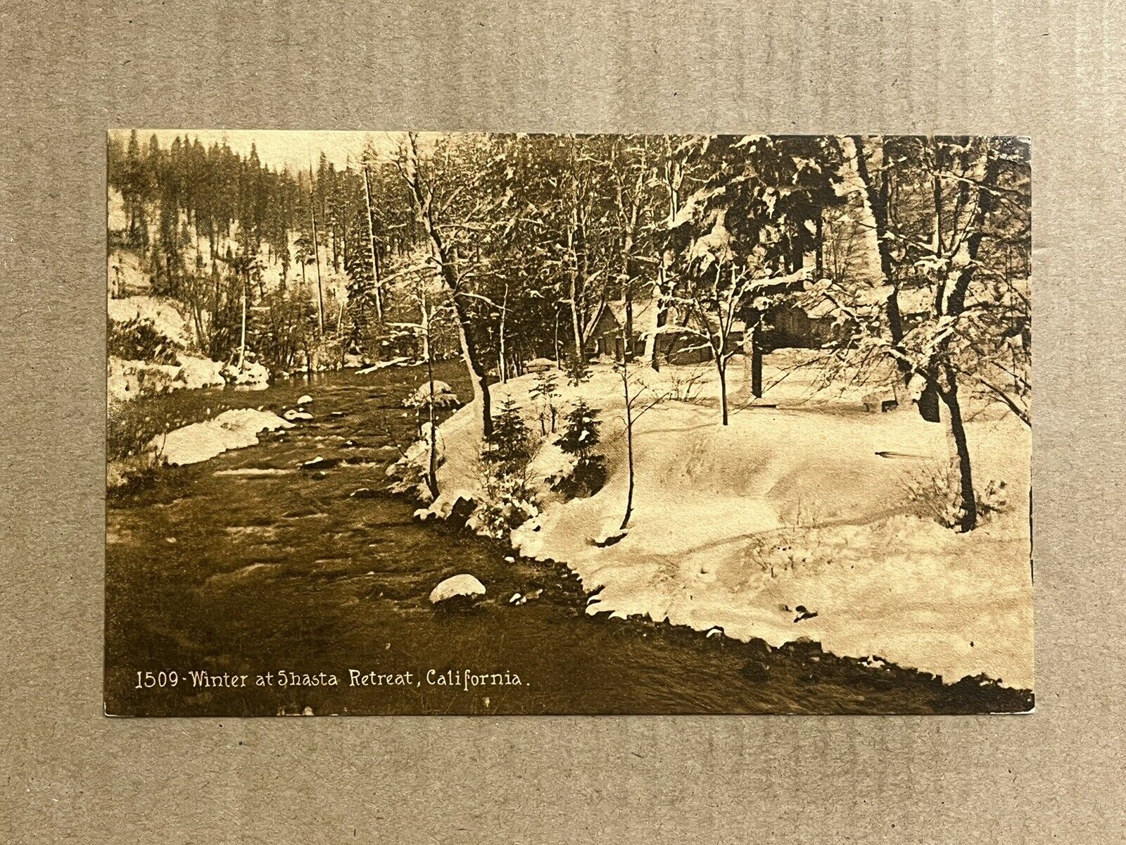 Postcard Shasta Retreat California Winter Snow Scene Vintage CA PC