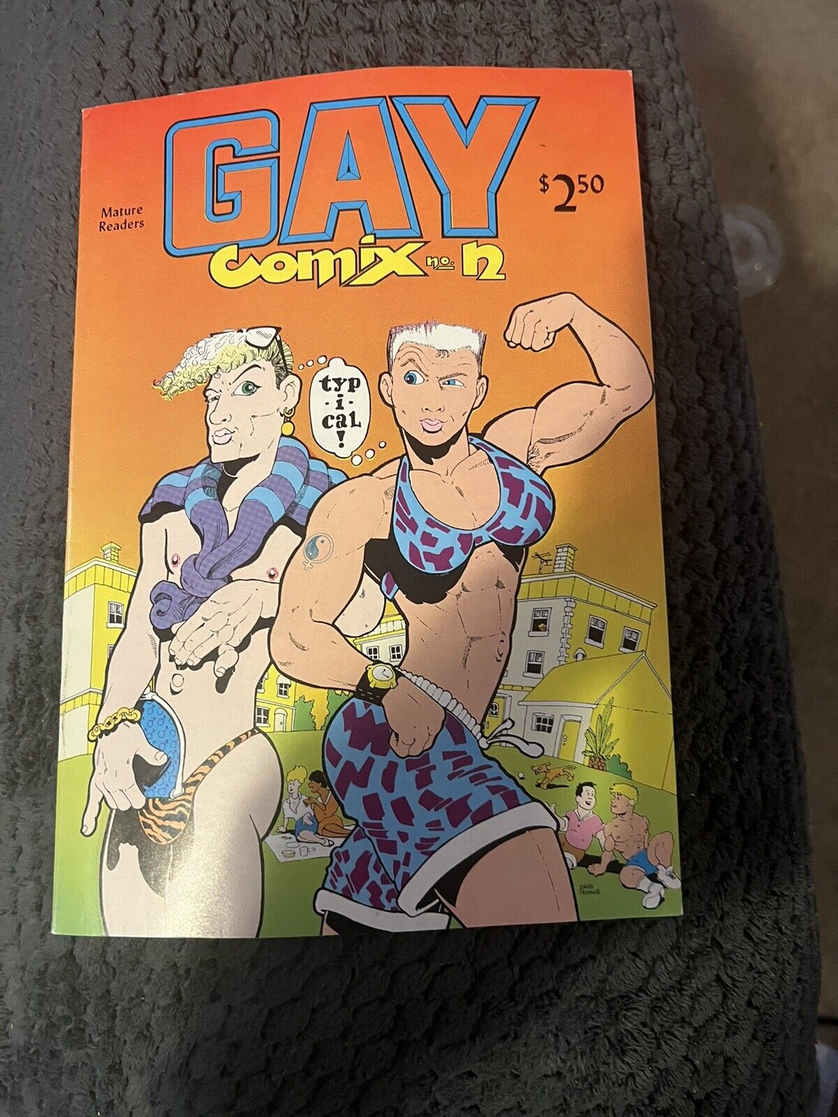 GAY COMIX 12  (1988) 1st Print LGBTQ COMICS Last Gasp Crumb Gay Heartthrob Rare