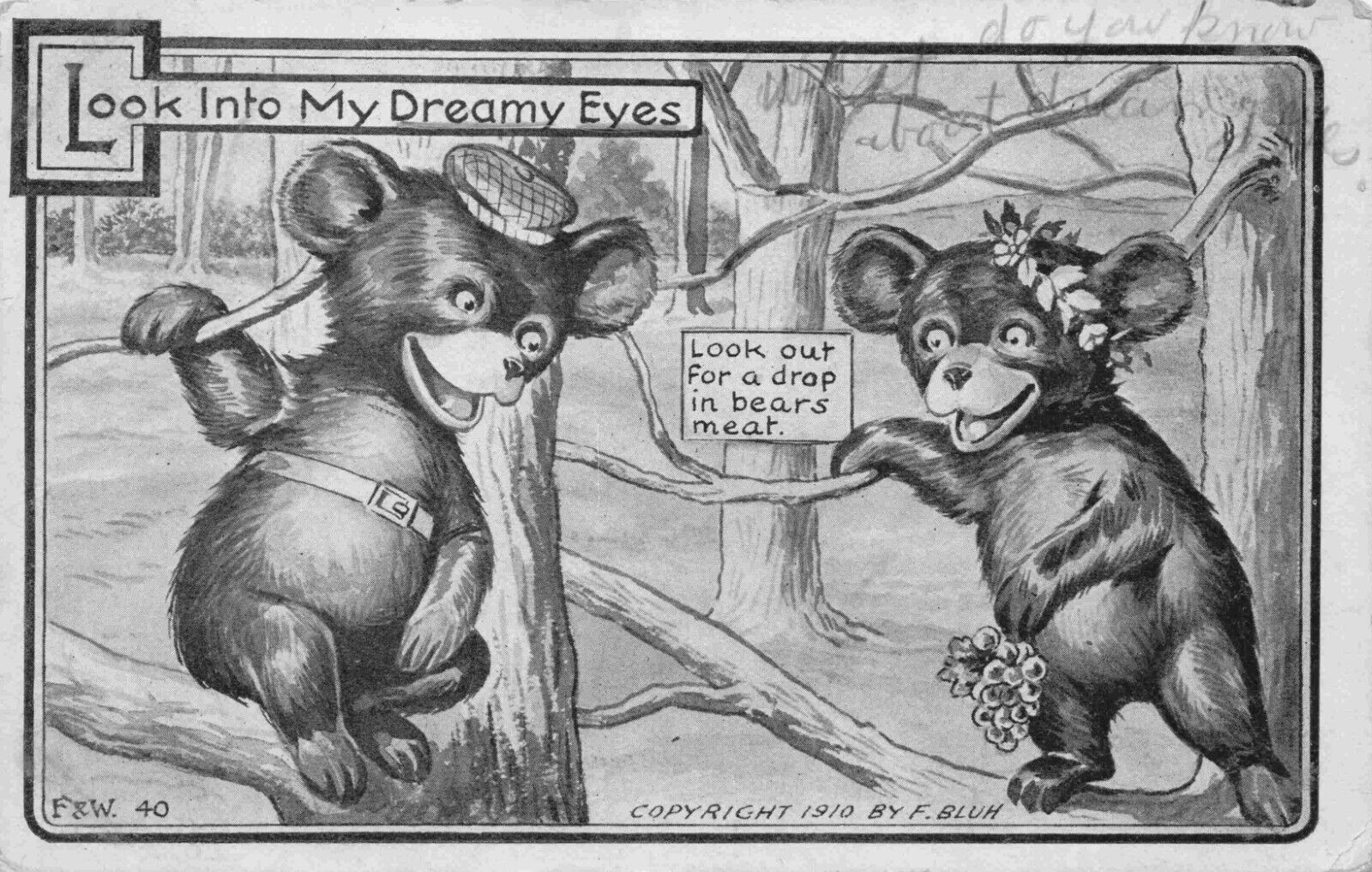 Adorable Romantic Bears F&W #40 c1910 Vintage Anthropomorphic Fantasy Postcard