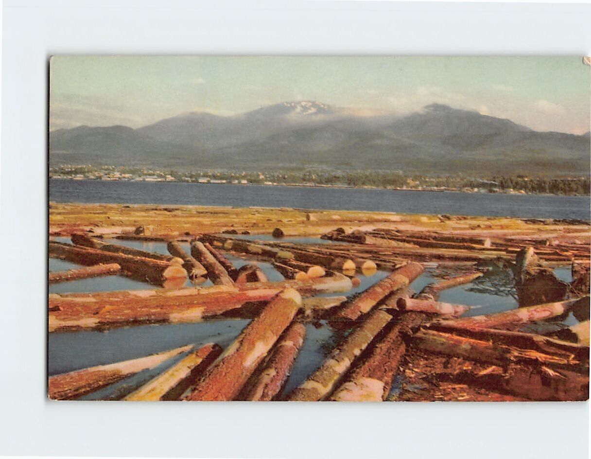 Postcard Timber Port Angeles Juan de Fucca Straits Washington