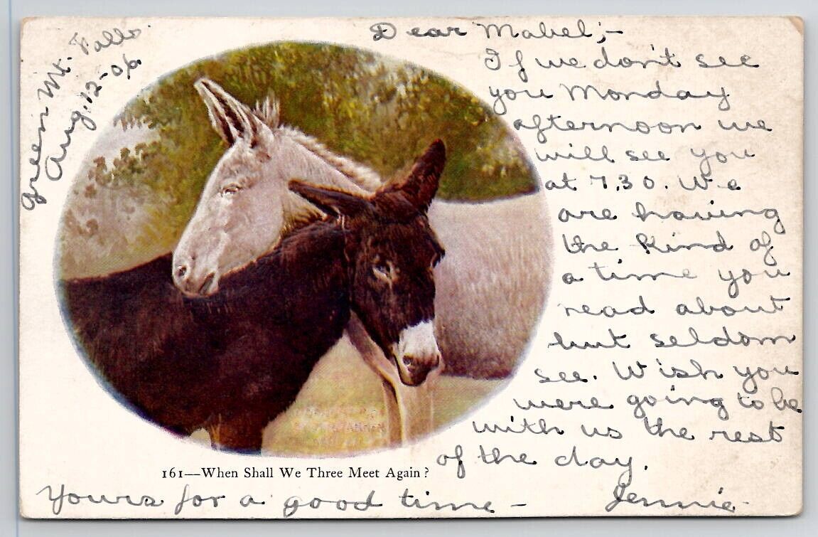 Donkeys When Shall We Three Meet Again 1906 Postcard R27
